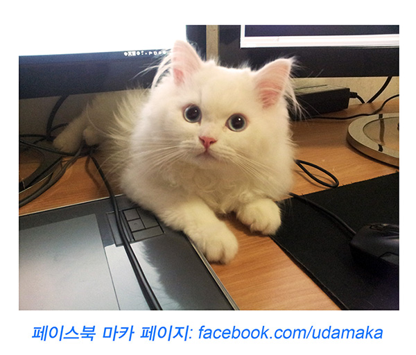 10화_마카사진.jpg