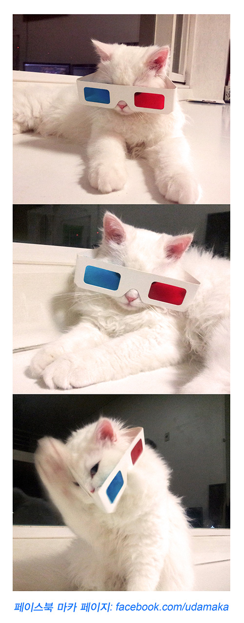 15회_마카사진.jpg