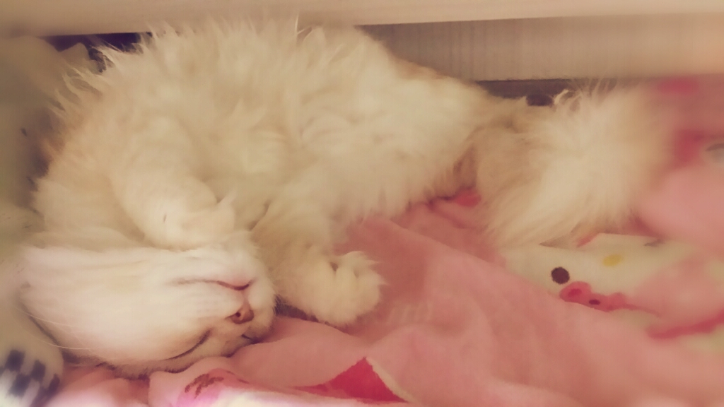 CYMERA_20131123_234227.jpg