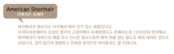ame.png