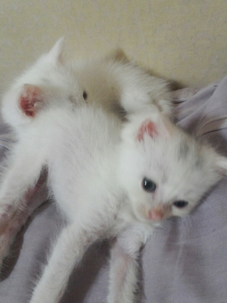 CYMERA_20140630_042302.jpg