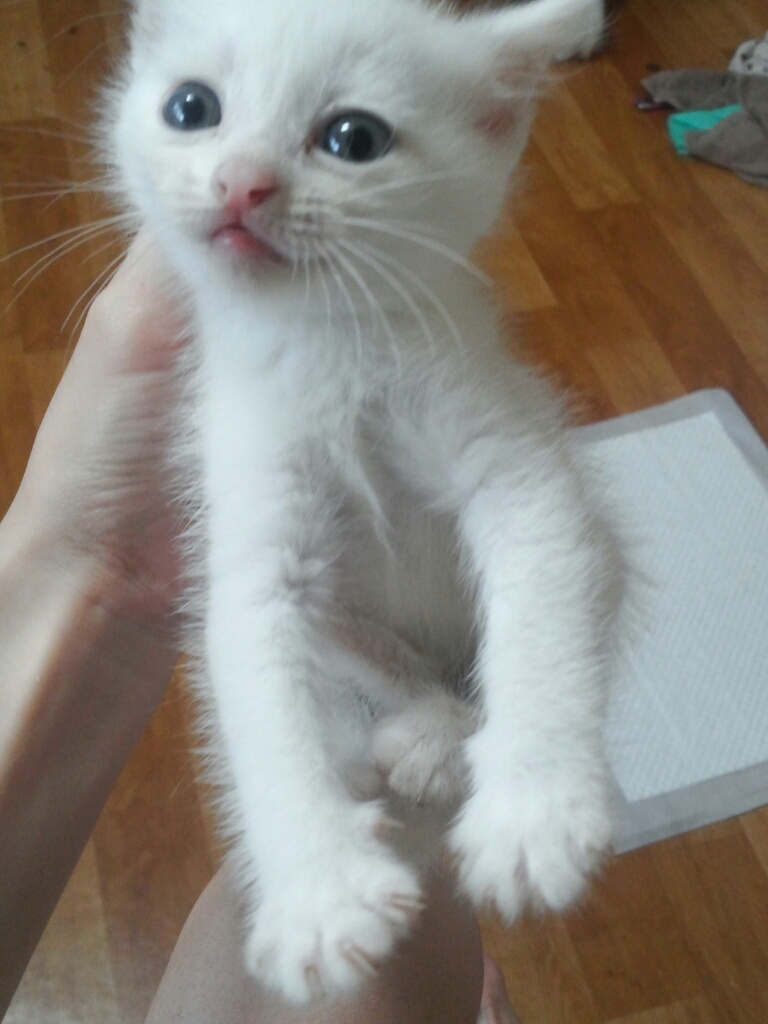 CYMERA_20140630_163438.jpg