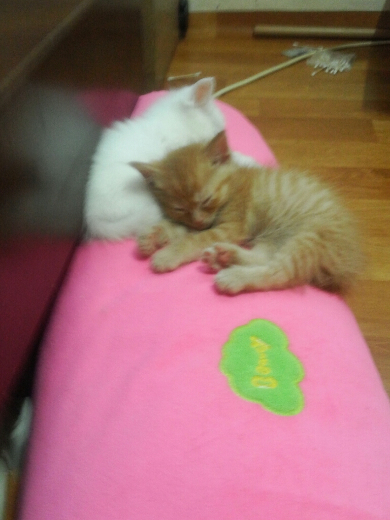 CYMERA_20140701_151928.jpg