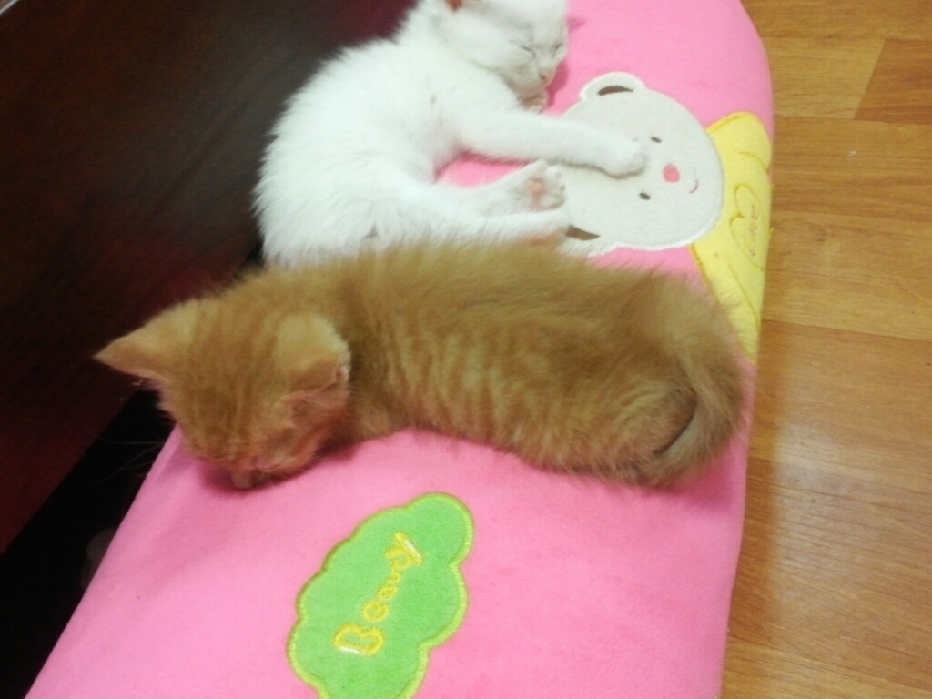 CYMERA_20140701_153145.jpg