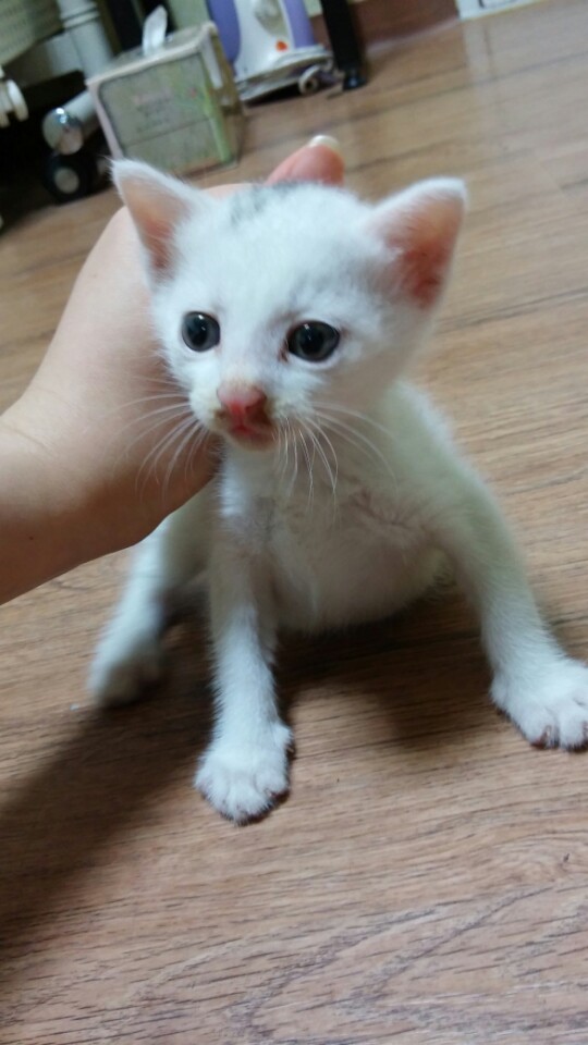 KakaoTalk_20140812_132529796.jpg