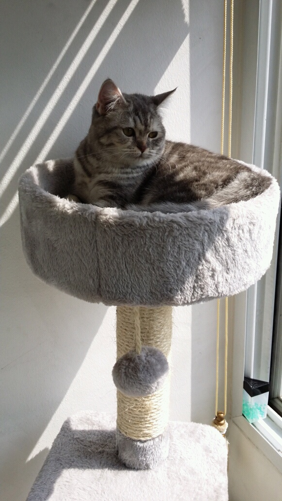 20140830_144536.jpg