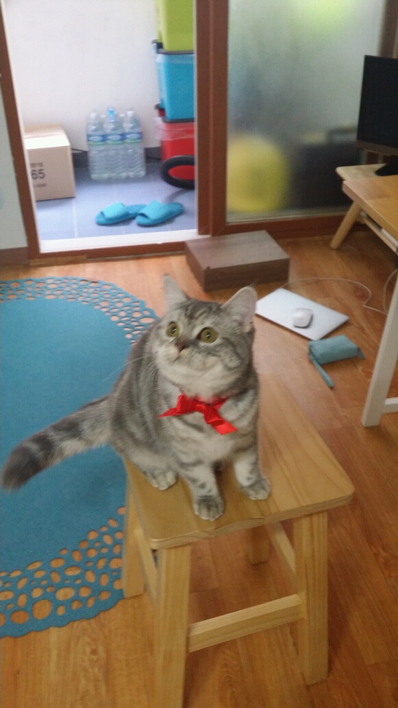 20141030_135858.jpg