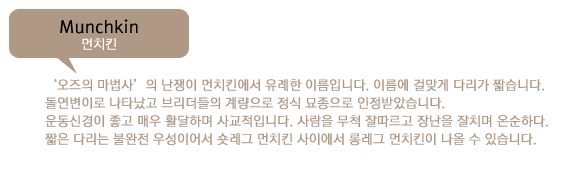 pp123oo02_1.png
