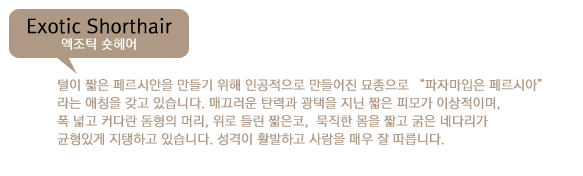 vvv123ccc02_1.png