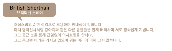 yyuu02_1.png