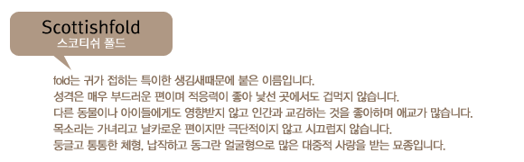 ioioio02_1.png