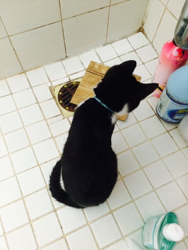 KakaoTalk_20150114_135633275.jpg