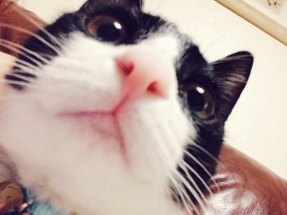 KakaoTalk_20150114_135637091.jpg