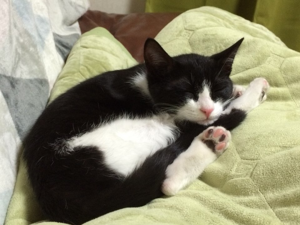 KakaoTalk_20150114_135637457.jpg