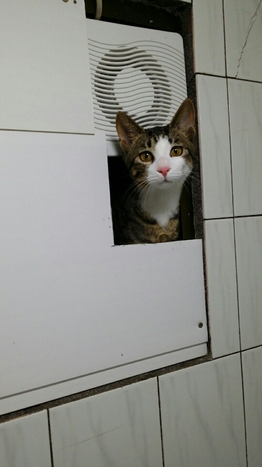 KakaoTalk_20150316_155908613.jpg
