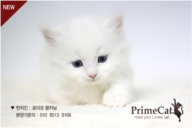 new_150313_main.jpg