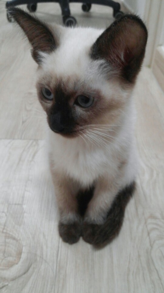 KakaoTalk_20151010_172312025.jpg