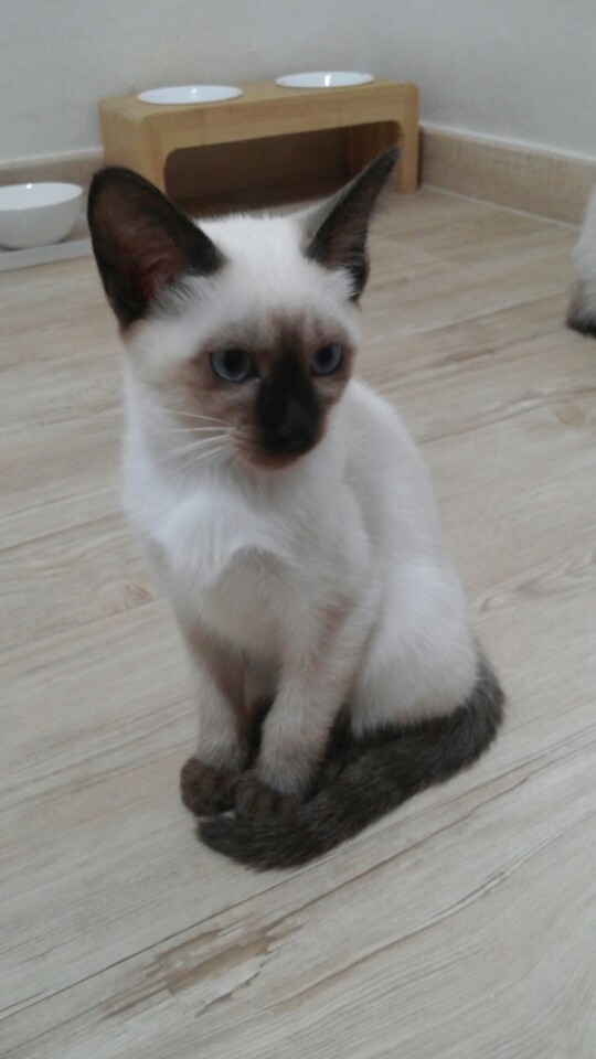 KakaoTalk_20151010_172312061.jpg