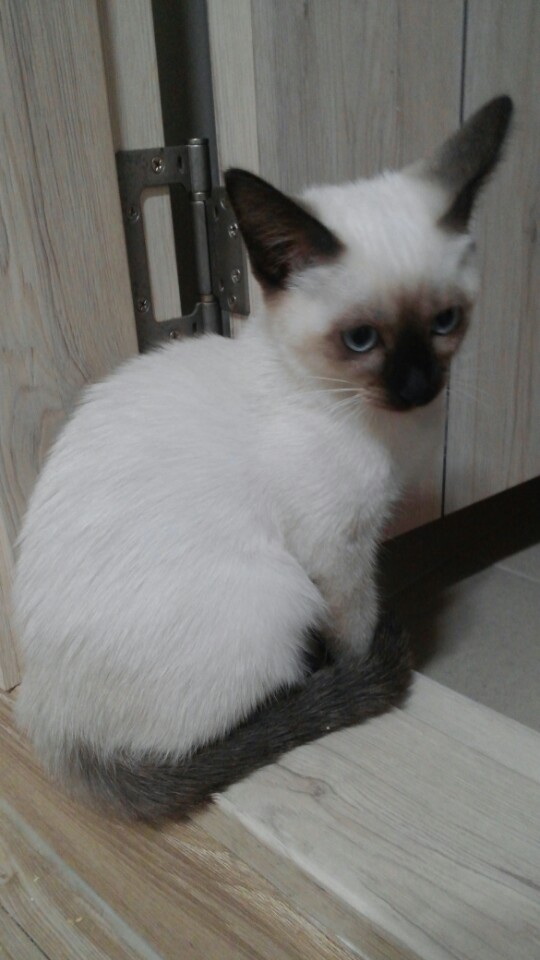 KakaoTalk_20151010_172312870.jpg
