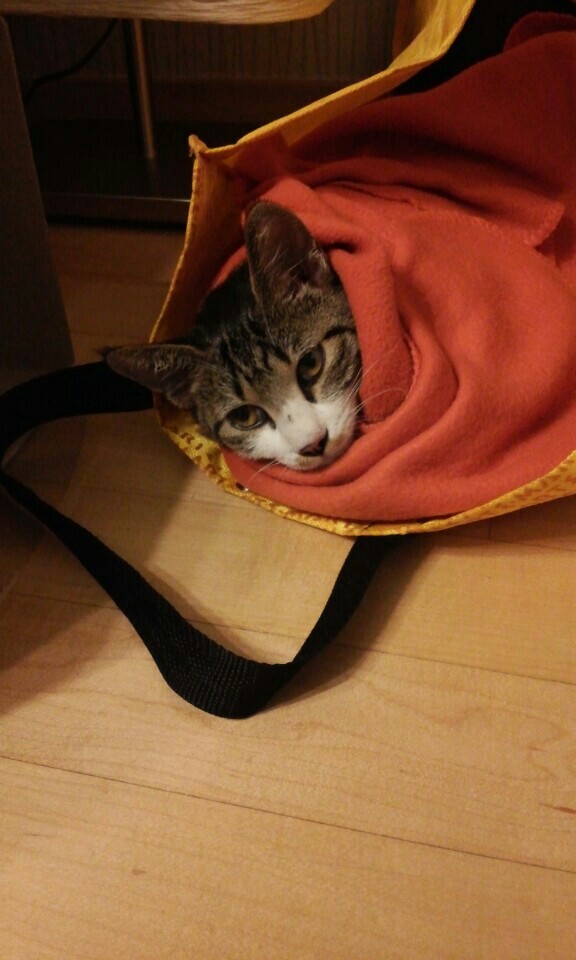 KakaoTalk_20151012_132335139.jpg