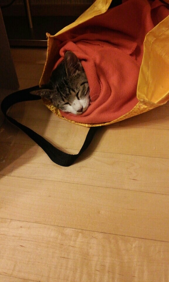 KakaoTalk_20151012_132337990.jpg