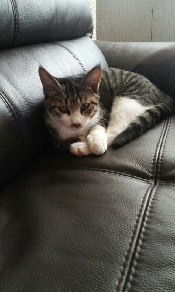 KakaoTalk_20151012_132415088.jpg