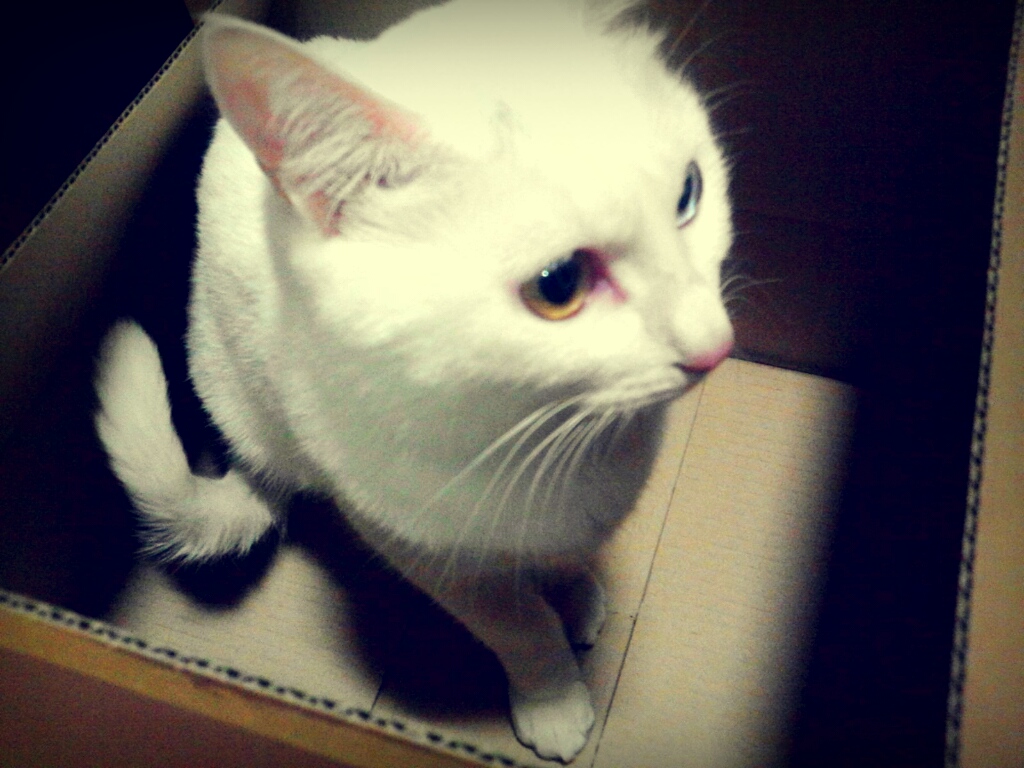 CYMERA_20130105_203325.jpg