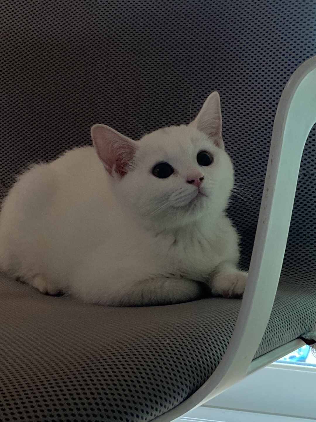 d7e0a519e8002ab051639d49c3da715f_1659661800_4953.jpeg
