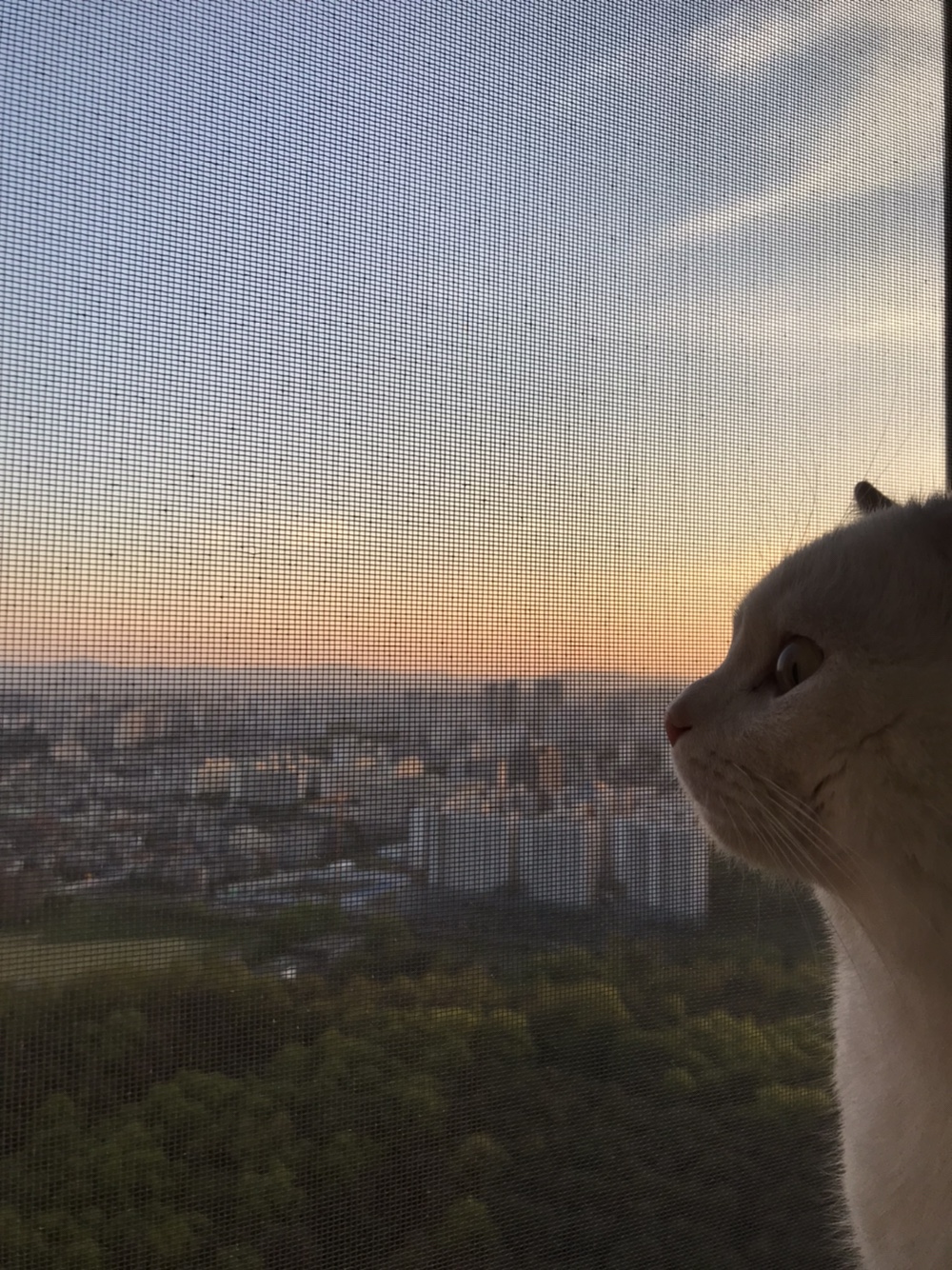 d7e0a519e8002ab051639d49c3da715f_1659661801_4085.jpeg