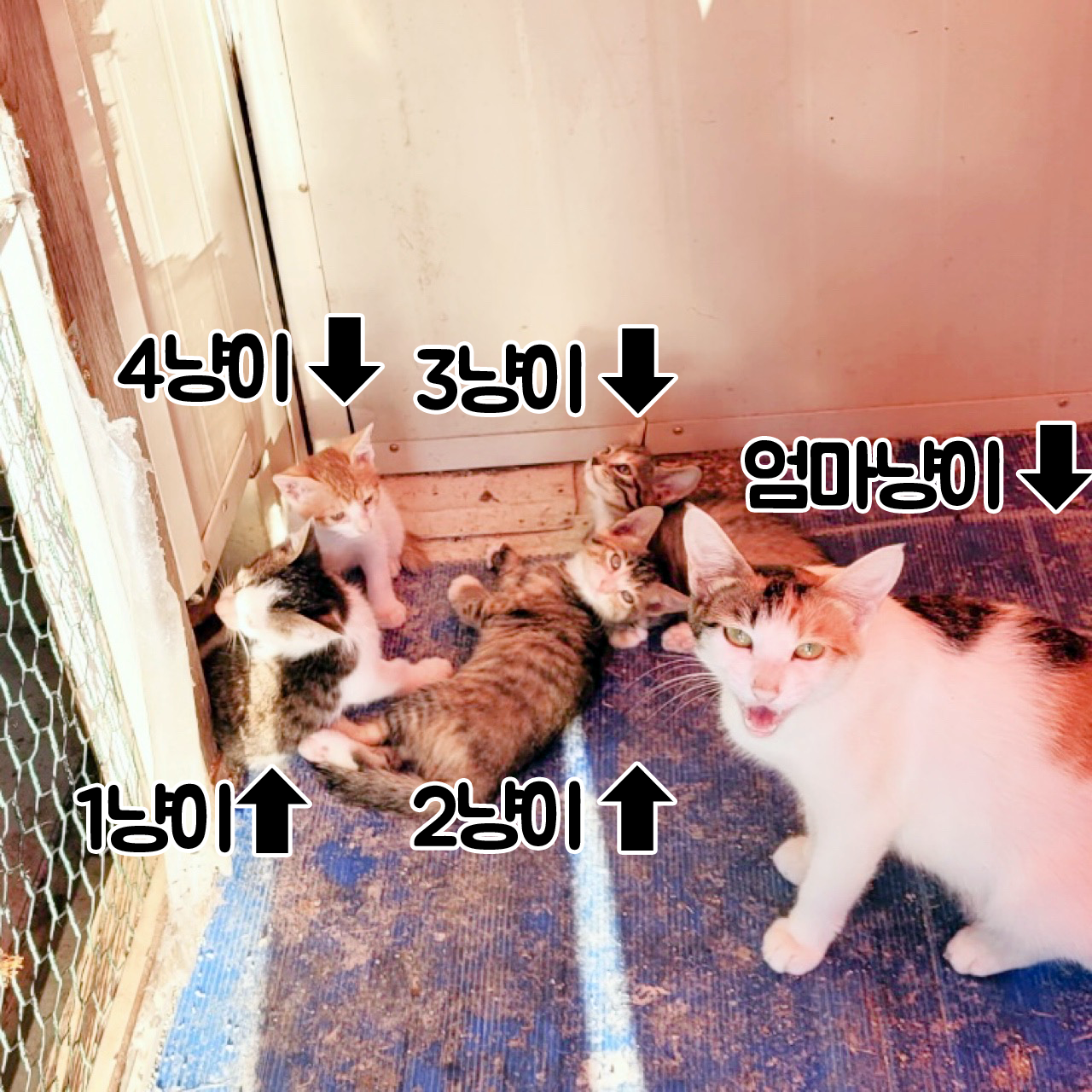 c8170b2a4a39d2f47e9c796b8f0fc7dd_1662438803_7597.png c8170b2a4a39d2f47e9c796b8f0fc7dd_1662438803_7597.png