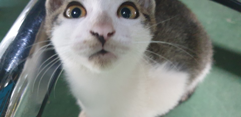 8921a6c866537950b72ffe3bd0119dae_1665020647_5168.jpg